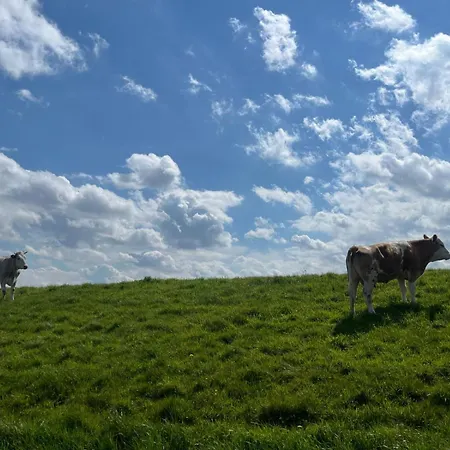 Alfreds Landidyll Vakantiehuis
