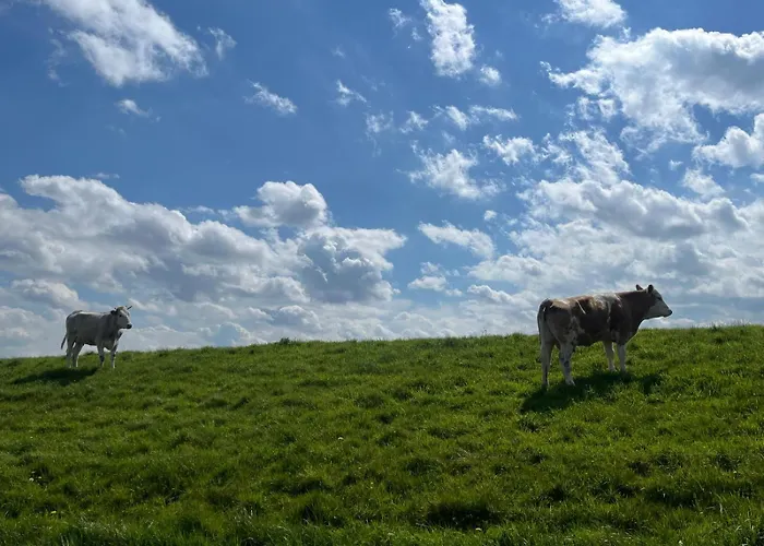 Alfreds Landidyll Casa de Férias